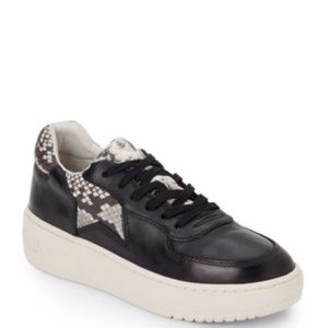 Ash black and snake leather sneakers 8/38
